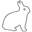兔子